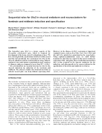 Sequential Roles for Otx2 in Visceral Endoderm and Neuroectoderm for Forebrain and Midbrain Induction and Speciﬁcation