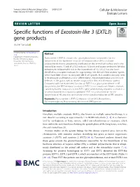 Specific Functions of Exostosin-Like 3 (EXTL3) Gene Products Shuhei Yamada