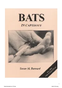 Bats in Captivity Is the Only Manual of Its Kind, Detailing the Captive Care of Both Native and Exotic Bat Species