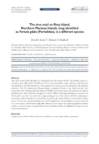 The Tree Snail on Rota Island, Northern Mariana Islands, Long Identified As Partula Gibba (Partulidae), Is a Different Species
