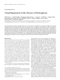 Visual Impairment in the Absence of Dystroglycan