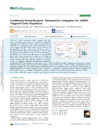 Conditional Deoxyribozyme−Nanoparticle Conjugates For