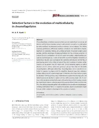 Selective Factors in the Evolution of Multicellularity in Choanoflagellates