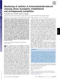 Monitoring of Switches in Heterochromatin-Induced Silencing Shows Incomplete Establishment and Developmental Instabilities