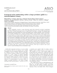 Ecological Niche Partitioning Within a Large Predator Guild in a Nutrient&