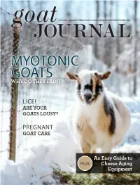 Myotonic Goats Why Do They Faint?