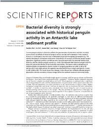 Bacterial Diversity Is Strongly Associated with Historical Penguin Activity in an Antarctic Lake Sediment Profile