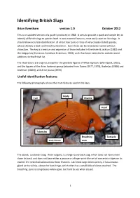Identifying British Slugs