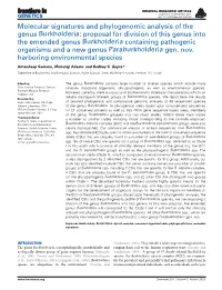 Molecular Signatures and Phylogenomic Analysis Of