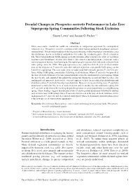 Decadal Changes in Phragmites Australis Performance in Lake Eyre Supergroup Spring Communities Following Stock Exclusion