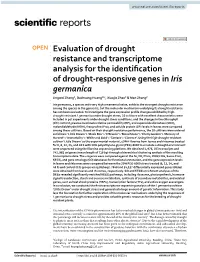 Evaluation of Drought Resistance and Transcriptome Analysis For