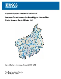 Instream Flow Characterization of Upper Salmon River Basin Streams, Central Idaho, 2005