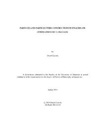 Particles and Particle-Verb Constructions in English and Other