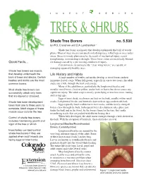 Shade Tree Borers No