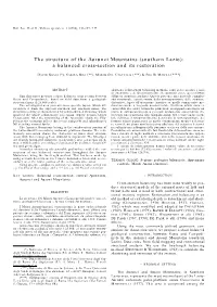 The Structure of the Aurunci Mountains (Southern Lazio): a Balanced Cross-Section and Its Restoration