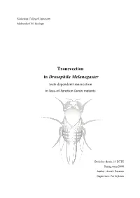 Transvection in Drosophila Melanogaster Zeste Dependent Transvection in Loss-Of-Function Lamin Mutants