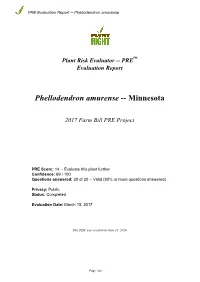 PRE Evaluation Report for Phellodendron Amurense