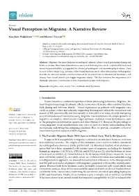 Visual Perception in Migraine: a Narrative Review