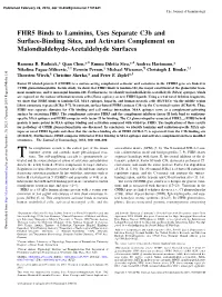 FHR5 Binds to Laminins, Uses Separate C3b and Surface-Binding Sites, and Activates Complement on Malondialdehyde-Acetaldehyde Surfaces