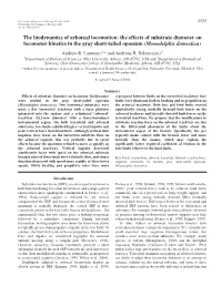 The Biodynamics of Arboreal Locomotion: the Effects of Substrate Diameter on Locomotor Kinetics in the Gray Short-Tailed Opossum (Monodelphis Domestica) Andrew R