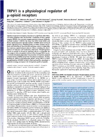 TRPV1 Is a Physiological Regulator of Μ-Opioid Receptors