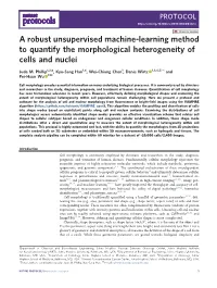 A Robust Unsupervised Machine-Learning Method to Quantify the Morphological Heterogeneity of Cells and Nuclei