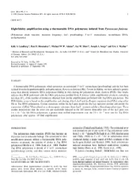 High-Fidelity Amplification Using a Thermostable DNA Polymerase Isolated from P’~Ococcusfuriosus