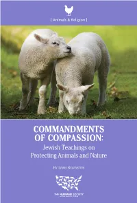 Commandments of Compassion