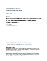Maternal Effects and Offspring Behavior: Potential Contributors to the Lack of Recruitment in Mississippi Gopher Tortoises (Gopherus Polyphemus)