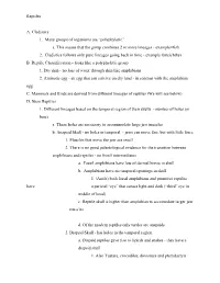 Reptiles A. Cladistics 1. Many Groups of Organisms