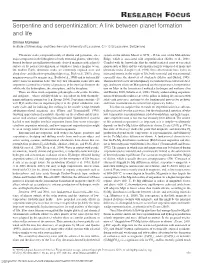 Serpentine and Serpentinization: a Link Between Planet Formation and Life