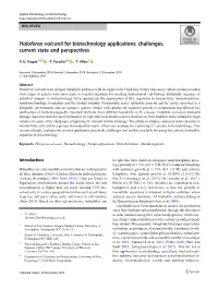 Haloferax Volcanii for Biotechnology Applications: Challenges, Current State and Perspectives