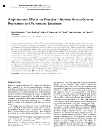 Amphetamine Effects on Prepulse Inhibition Across-Species: Replication and Parametric Extension