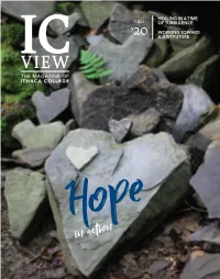 IC View Spring 2019