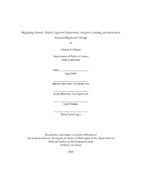 Regulating Finance: Expert Cognitive Frameworks, Adaptive Learning, and Interests In