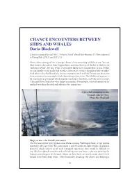 Chance Encounters Between Whales and Ships (Pdf)