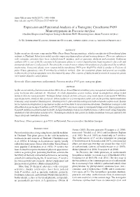 Expression and Functional Analysis of a Transgenic Cytochrome P450