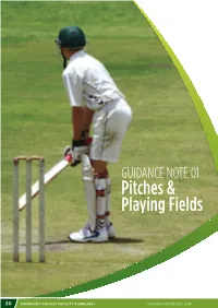Pitches & Playing Fields