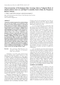 Characterization of Predominant Rice Growing Soils in Vadipatti Block Of