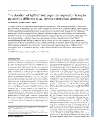 The Duration of Fgf8 Isthmic Organizer Expression Is Key to Patterning Different Tectal-Isthmo-Cerebellum Structures Tatsuya Sato* and Alexandra L