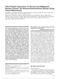 Cdx2 Protein Expression in Normal and Malignant Human Tissues: an Immunohistochemical Survey Using Tissue Microarrays Christopher A