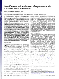 Identification and Mechanism of Regulation of the Zebrafish Dorsal Determinant