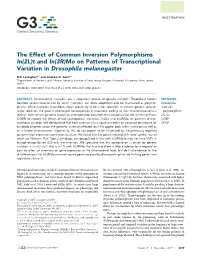 The Effect of Common Inversion Polymorphisms In(2L)T and In(3R)Mo on Patterns of Transcriptional Variation in Drosophila Melanogaster