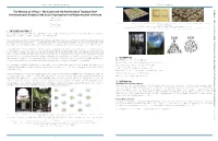 The Making of a Place – the Courtyard: an Architectural Typology That M Simultaneously Enables Safe Social Aggregation and Reconnection to Nature Ak I Ng