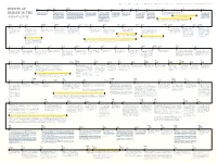 AE-Timeline I