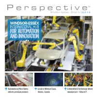 Automation and Innovation