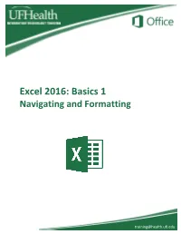 Excel 2016: Basics 1