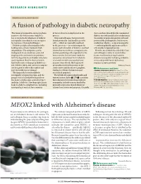 A Fusion of Pathology in Diabetic Neuropathy MEOX2 Linked With