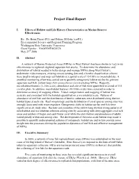 Project Final Report
