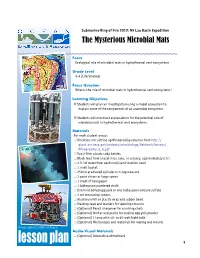 The Mysterious Microbial Mats